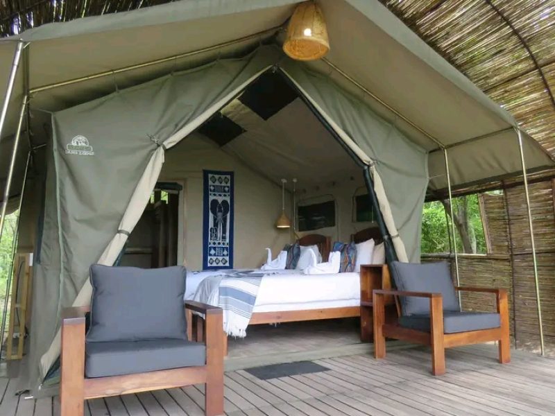 Luxury tented rooms