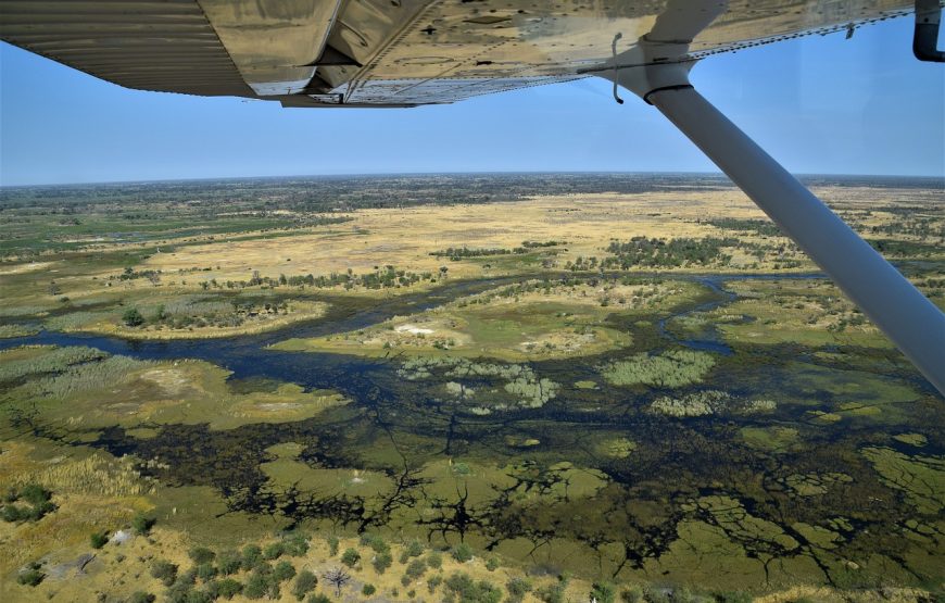 Scenic Flight