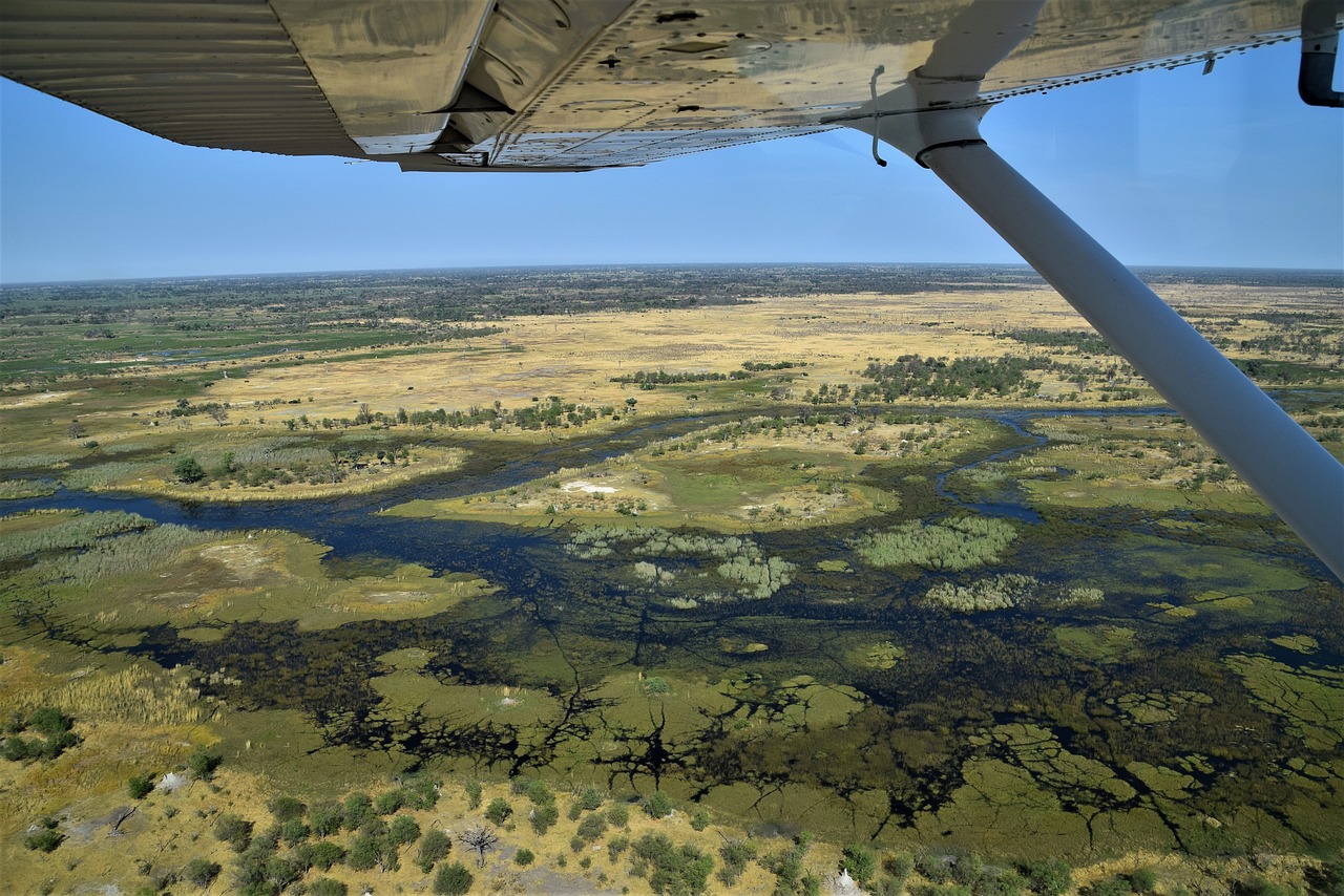 Okavango Delta